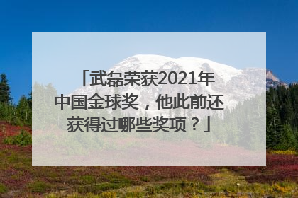 武磊荣获2021年中国金球奖，他此前还获得过哪些奖项？