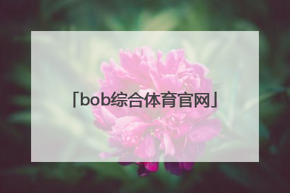 「bob综合体育官网」bob综合体育官网首页