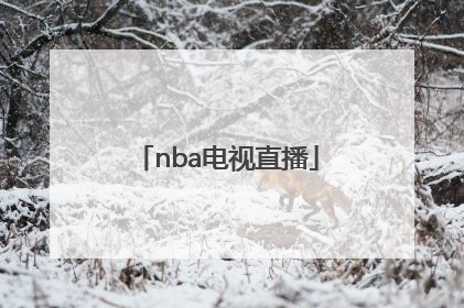 「nba电视直播」NBA电视直播软件